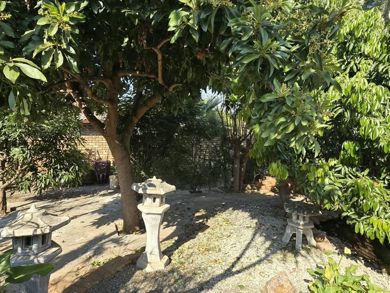 A tranquil garden area featuring mature trees, gravel pathways, and decorative stone lanterns, enclosed by a brick boundary wall.