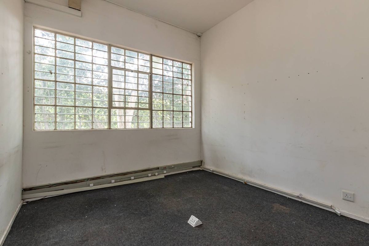 An empty, dated bedroom featuring a large grid-pattern window, worn carpeting, and walls requiring cosmetic attention.