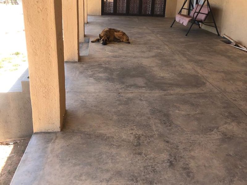 4 Bedroom KRANSNEUS TO LET SPACE SPACE SPACE - Photo 5