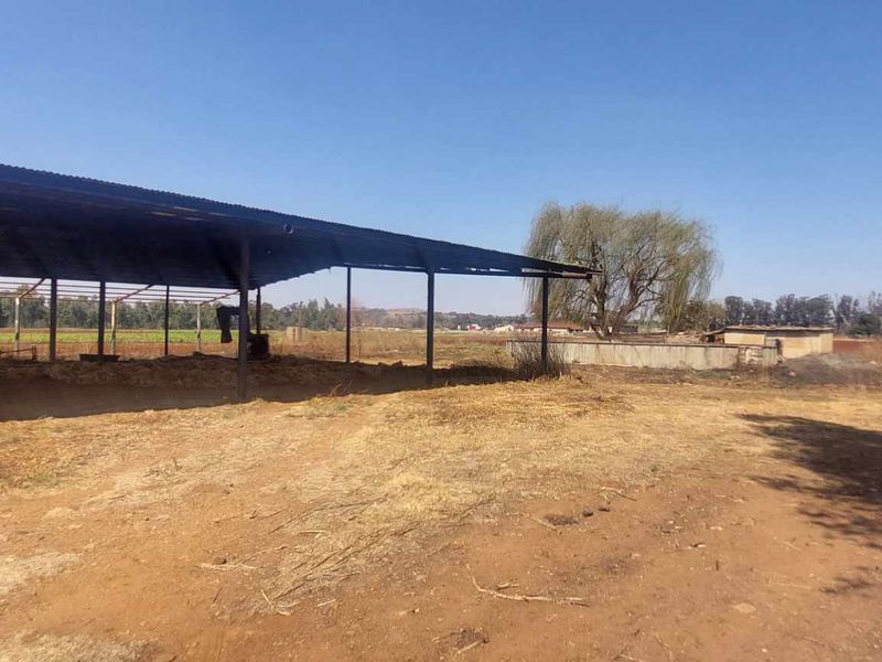 Prime 17.8 Hectare Vegetable Farm for Sale in Eikenhof Johannesburg - Photo 3