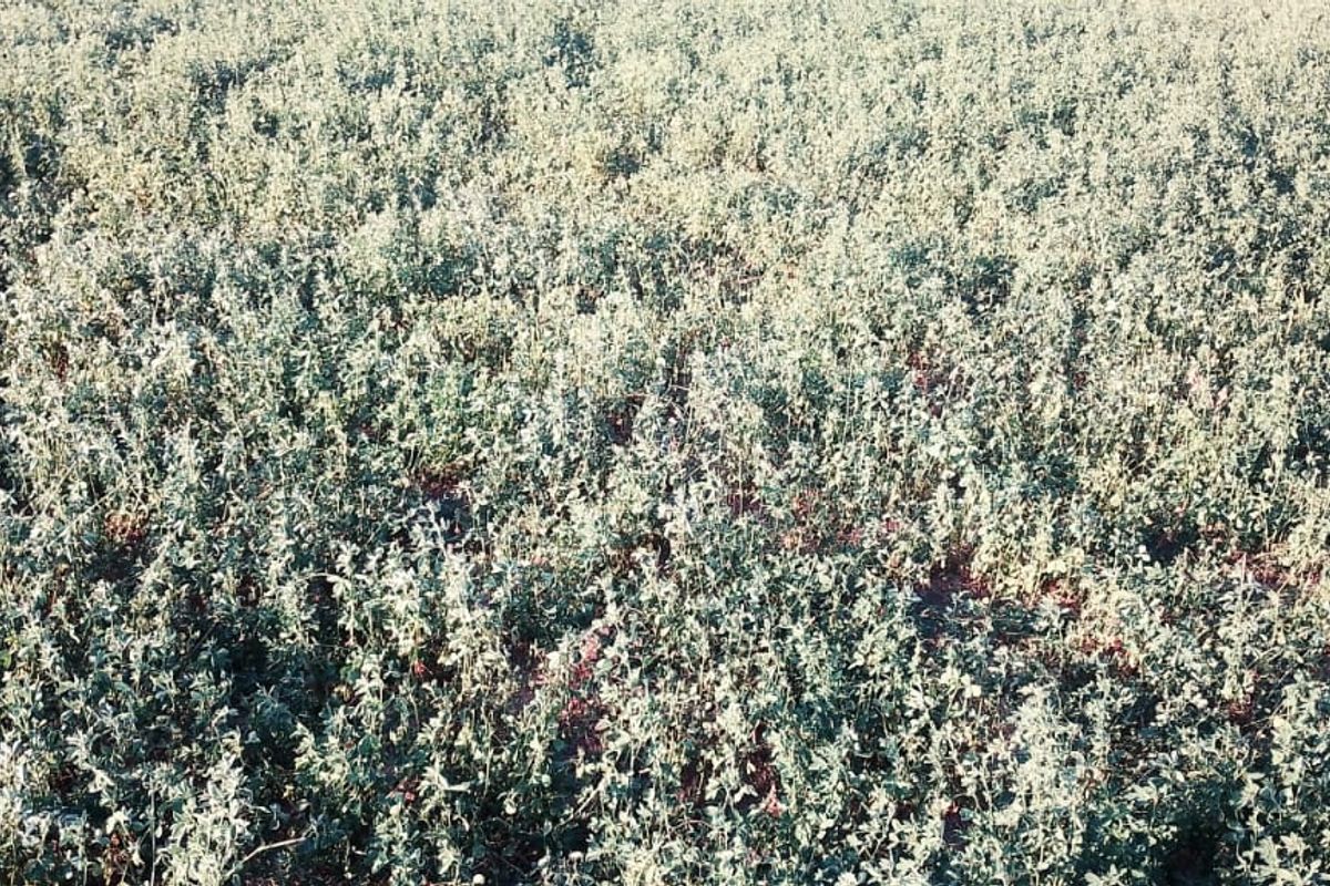 PIVOT POINT WITH 15 HEKT LUCERN .READ POSSIBILITIES BELOW PLEASE - Photo 3