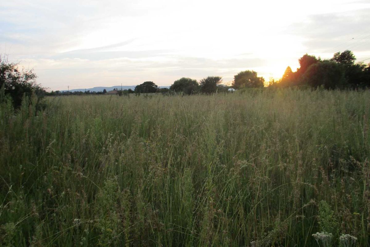 Calling all Developers - Photo 3