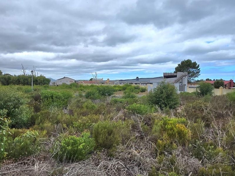 Level 924m2 Land in Peaceful Franskraal – Perfect Investment Opportunity. - Photo 10