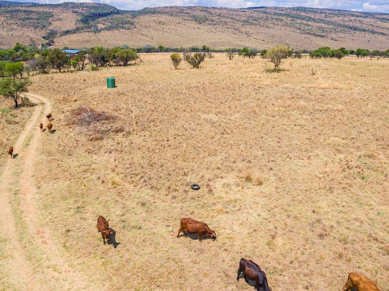 Exceptional 44-Hectare Agricultural , Multiple living, Farm for Sale – Hekpoort - Photo 3