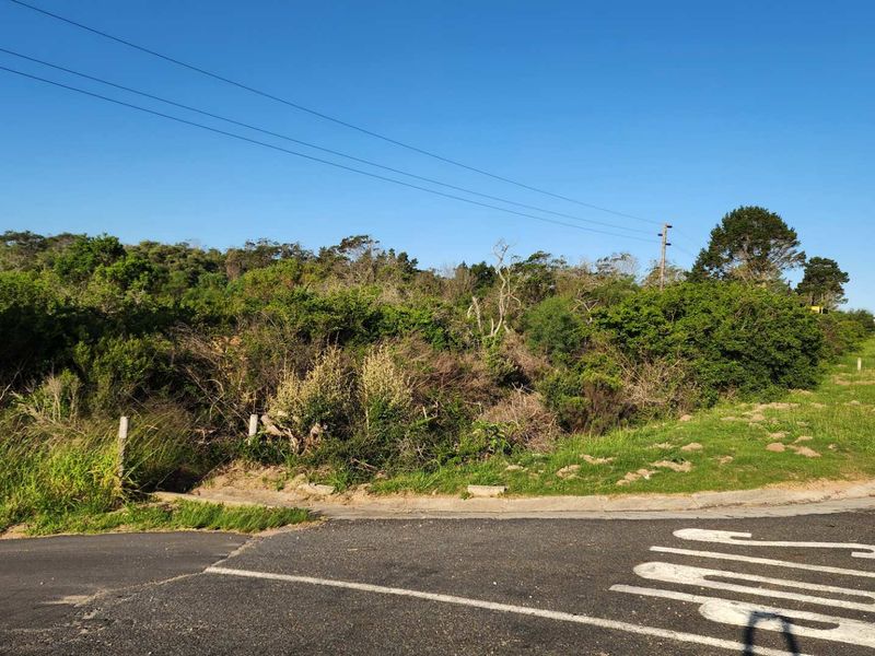 Smart Investment! Prime Land for Business or Residential Use! - Photo 7