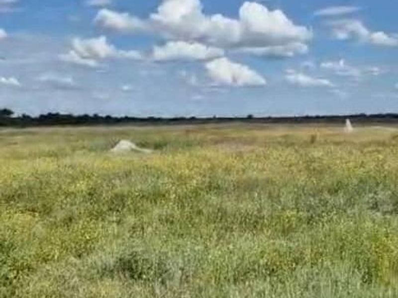 Farm For Sale - Photo 5