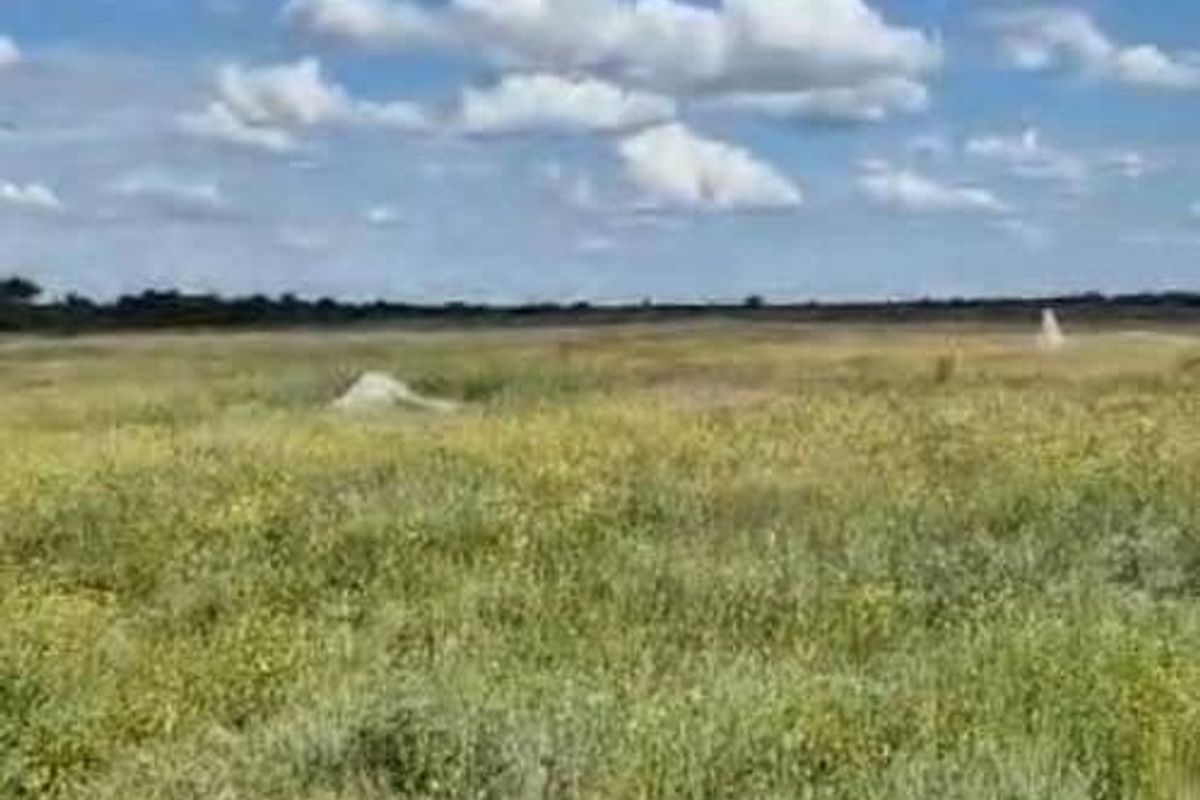 Farm For Sale - Photo 5