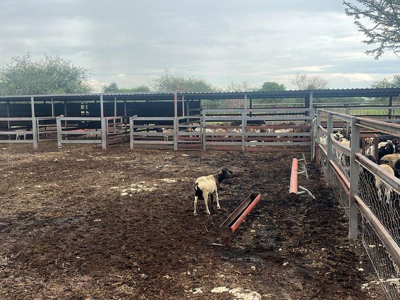 Agricultural Farm for Sale - Grootfontein Region - Photo 10