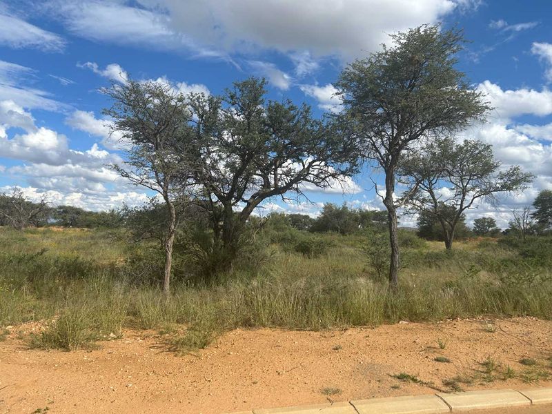 Large North facing Erf for sale - Photo 2