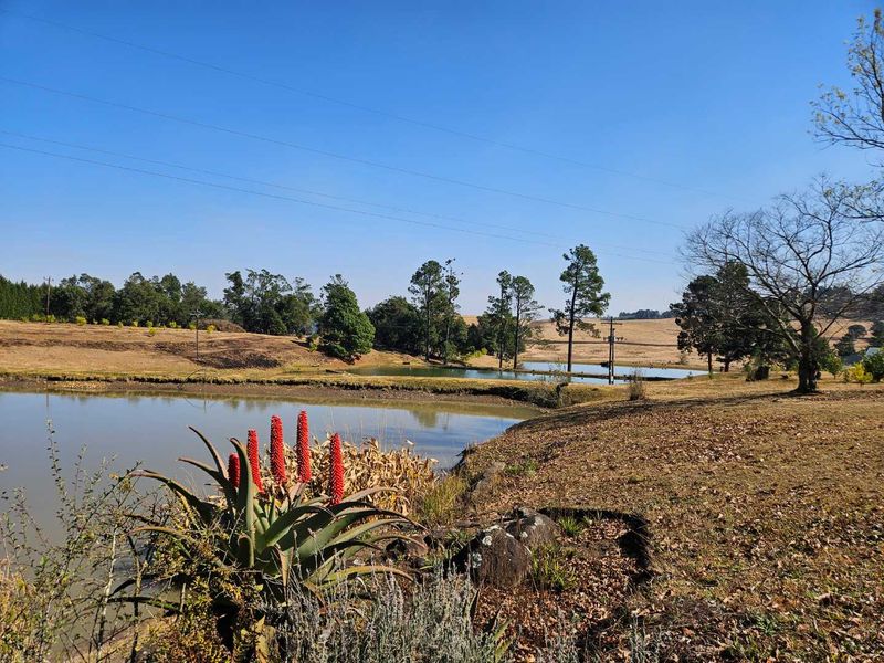 Exceptional Midlands Lifestyle Farm, Accommodation Business & Premier Fishing Destination - Photo 1
