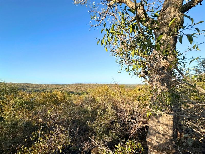 Build Your Dream Home with Mountain Views in Elephant Rock Eco Estate - Photo 8