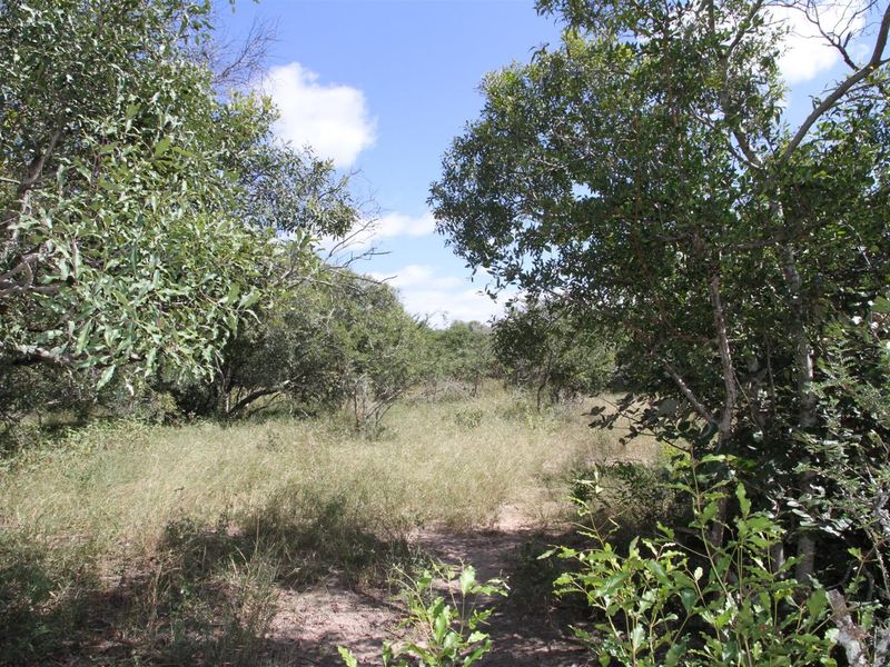 Vacant stand for Sale - Photo 5