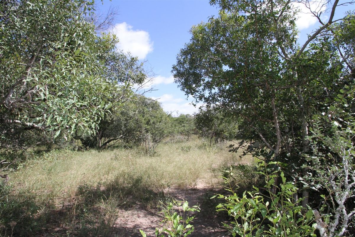 Vacant stand for Sale - Photo 5