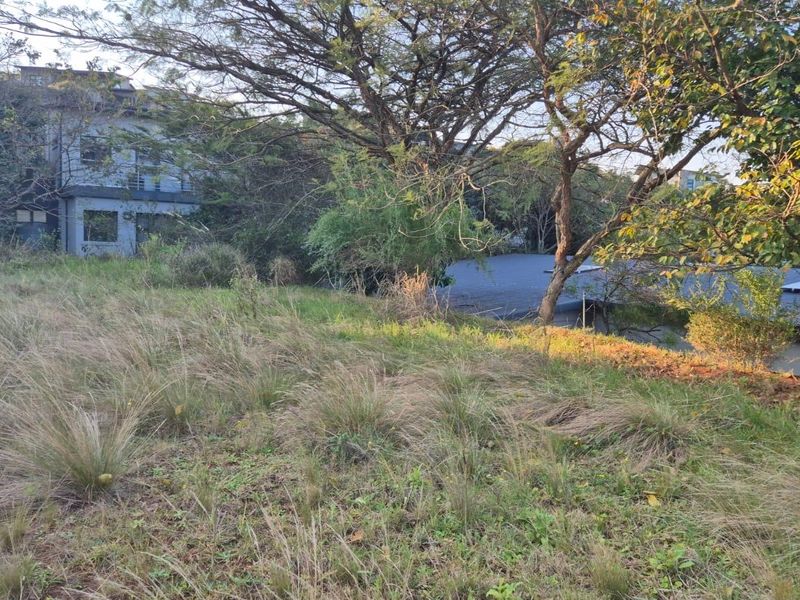A view of the sloped, undeveloped residential land featuring mature trees and natural vegetation, situated within a residential neighborhood.