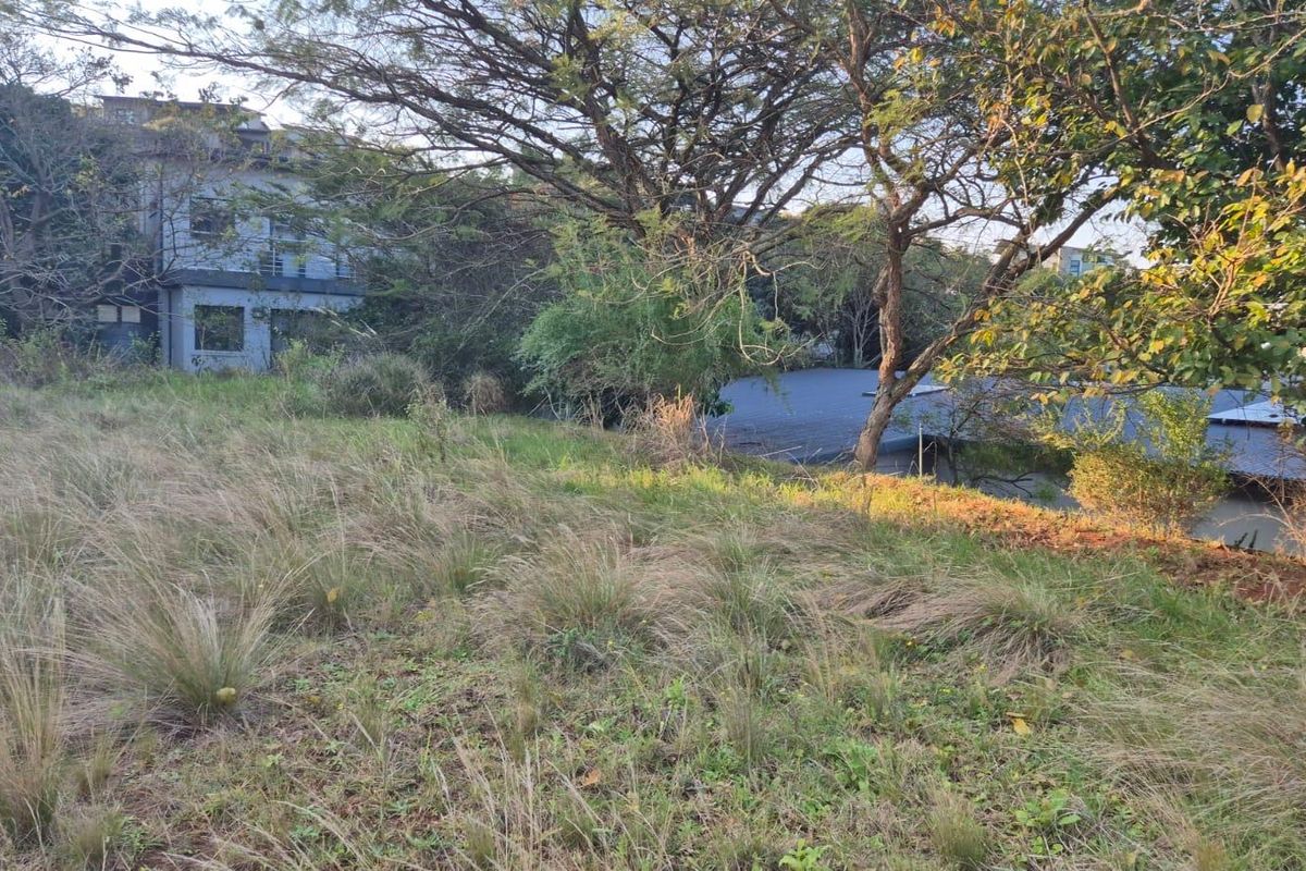 A view of the sloped, undeveloped residential land featuring mature trees and natural vegetation, situated within a residential neighborhood.