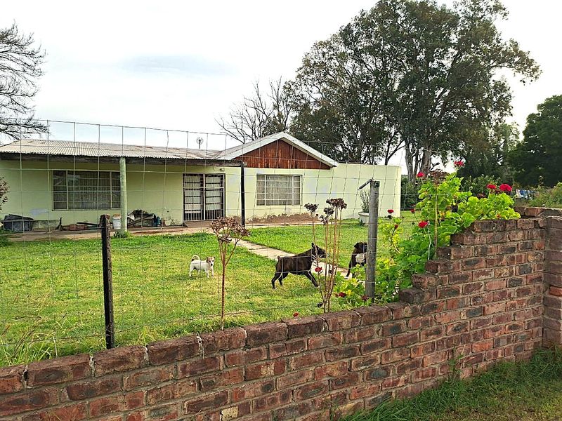 Rear view of a single-story house featuring a brick boundary wall, wire fencing, and a lawn area with a concrete pathway.