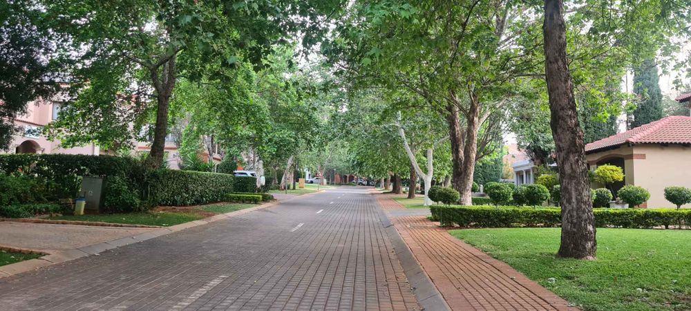 Road lined with Oaks leading to home