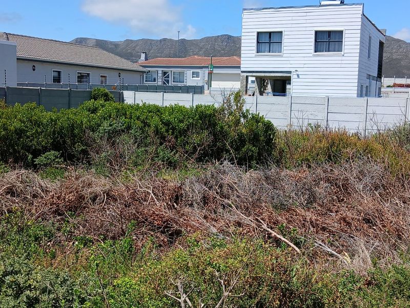 A view of the rear portion of the vacant residential plot, featuring established boundary walls with electric fencing and significant overgrown vegetation.