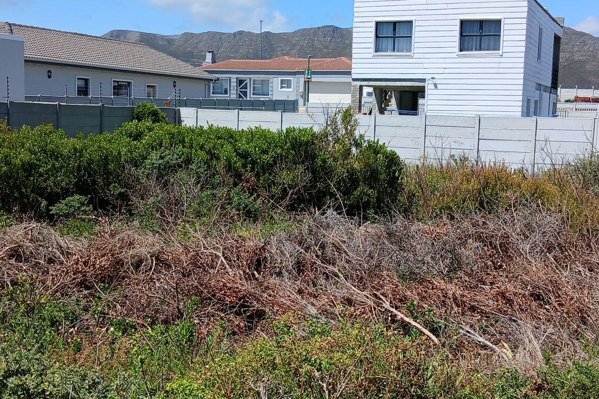 A view of the rear portion of the vacant residential plot, featuring established boundary walls with electric fencing and significant overgrown vegetation.