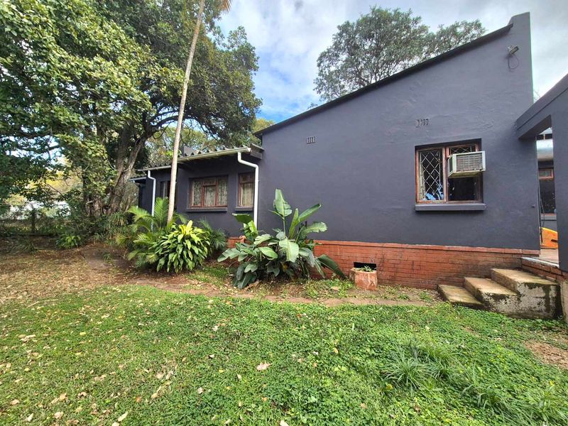 Rear exterior view of the house featuring dark painted walls, brick base, concrete steps, and established garden surroundings.