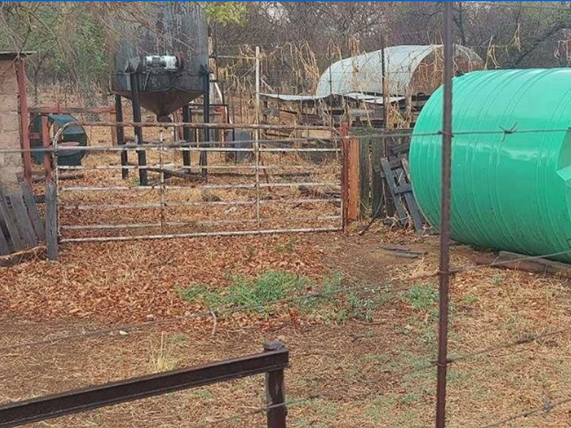 Prime 78-Hectare Farm: Comfort and Convenience Near Naboomspruit - Photo 6