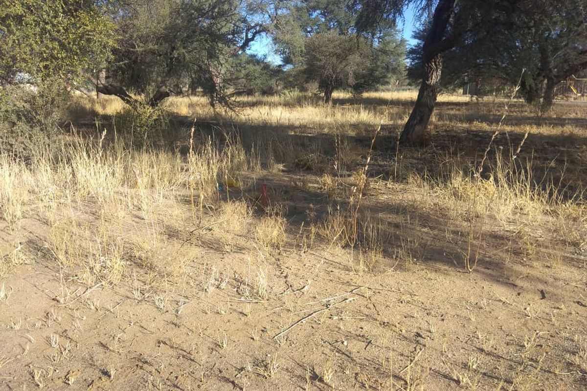 LIFESTYLE RIVER ESTATE ERF FOR SALE IN OKAHANDJA - Photo 4