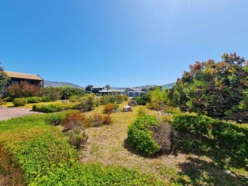 Rare Ocean Front Opportunity with Panoramic Mountain Vistas - Photo 4