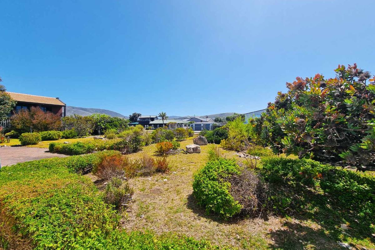 Rare Ocean Front Opportunity with Panoramic Mountain Vistas - Photo 4