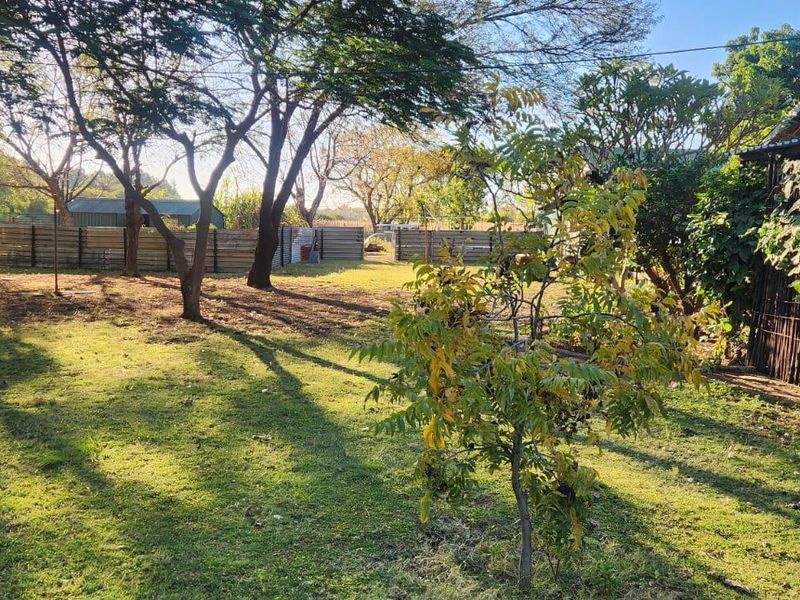 9.5 Hectares Farm for Sale - Do not miss this amazing opportunity it will not be around for long. - Photo 6