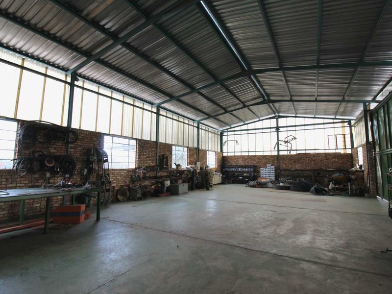 951ha Prime Wildlife, Cattle & Farming Farm for Sale – Limpopo Bushveld - Photo 9