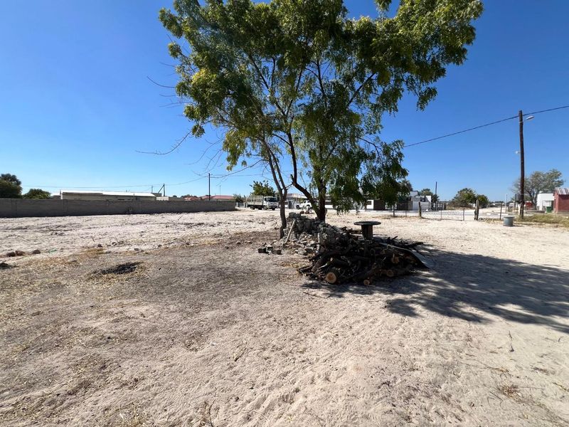 A large, undeveloped plot of land featuring a mature tree and perimeter wall, offering significant potential for landscaping or future development.