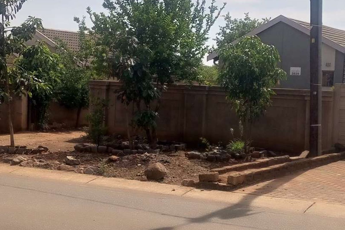 Street view of the property showing the boundary wall, driveway access, and front garden area.