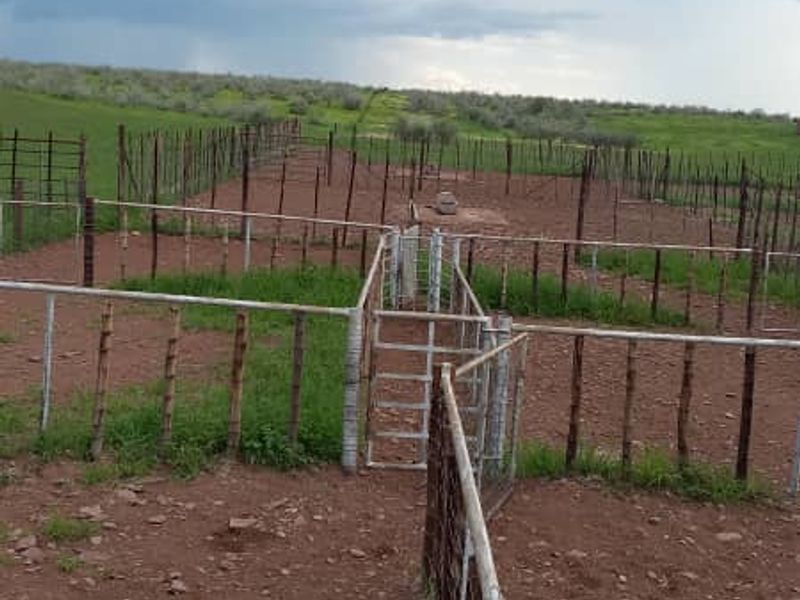 Discover the perfect blend of tranquillity and functionality with this expansive 7,800-hectare farm. - Photo 4