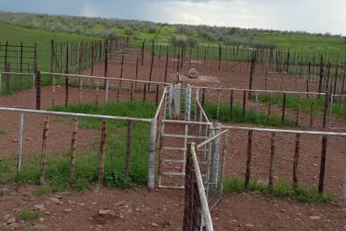 Discover the perfect blend of tranquillity and functionality with this expansive 7,800-hectare farm. - Photo 4