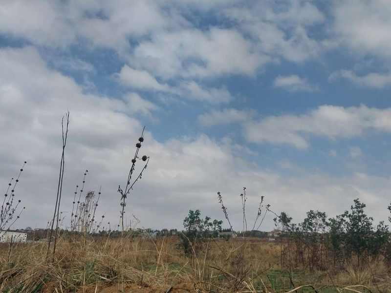 PRIME VACANT LAND WITH EXCEPTIONAL DEVELOPMENT POTENTIAL FOR SALE IN MOOIKLOOF AREA - Photo 5