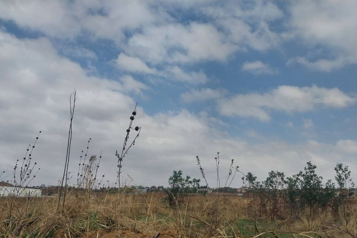 PRIME VACANT LAND WITH EXCEPTIONAL DEVELOPMENT POTENTIAL FOR SALE IN MOOIKLOOF AREA - Photo 5