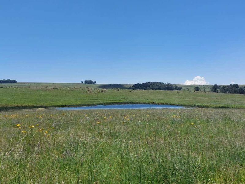600ha Multi-Income Farm & Lifestyle Estate – Belfast / Dullstroom Area - Photo 8