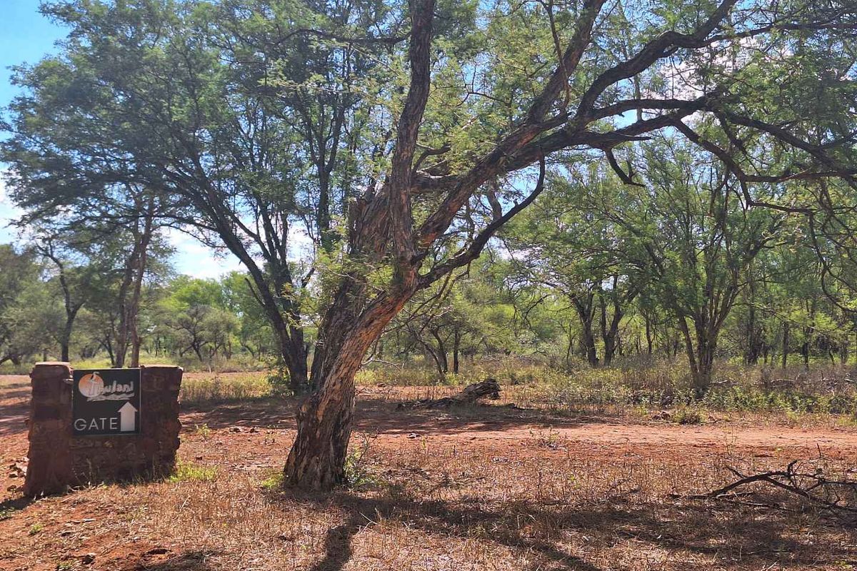 Exclusive Stand Awaits - Discover Serenity - Photo 3