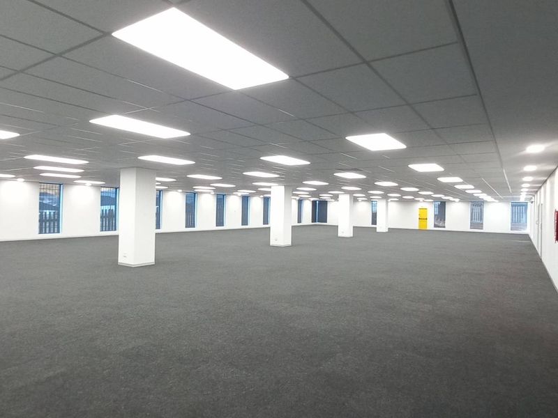 A spacious, open-plan office area featuring a suspended ceiling, recessed lighting, structural columns, and clean carpeted flooring, ready for custom fit-out.