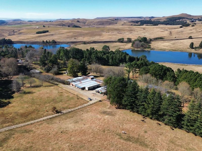 Aerial view of a large farm property featuring multiple outbuildings, expansive grazing land, mature tree lines, and two scenic dams.