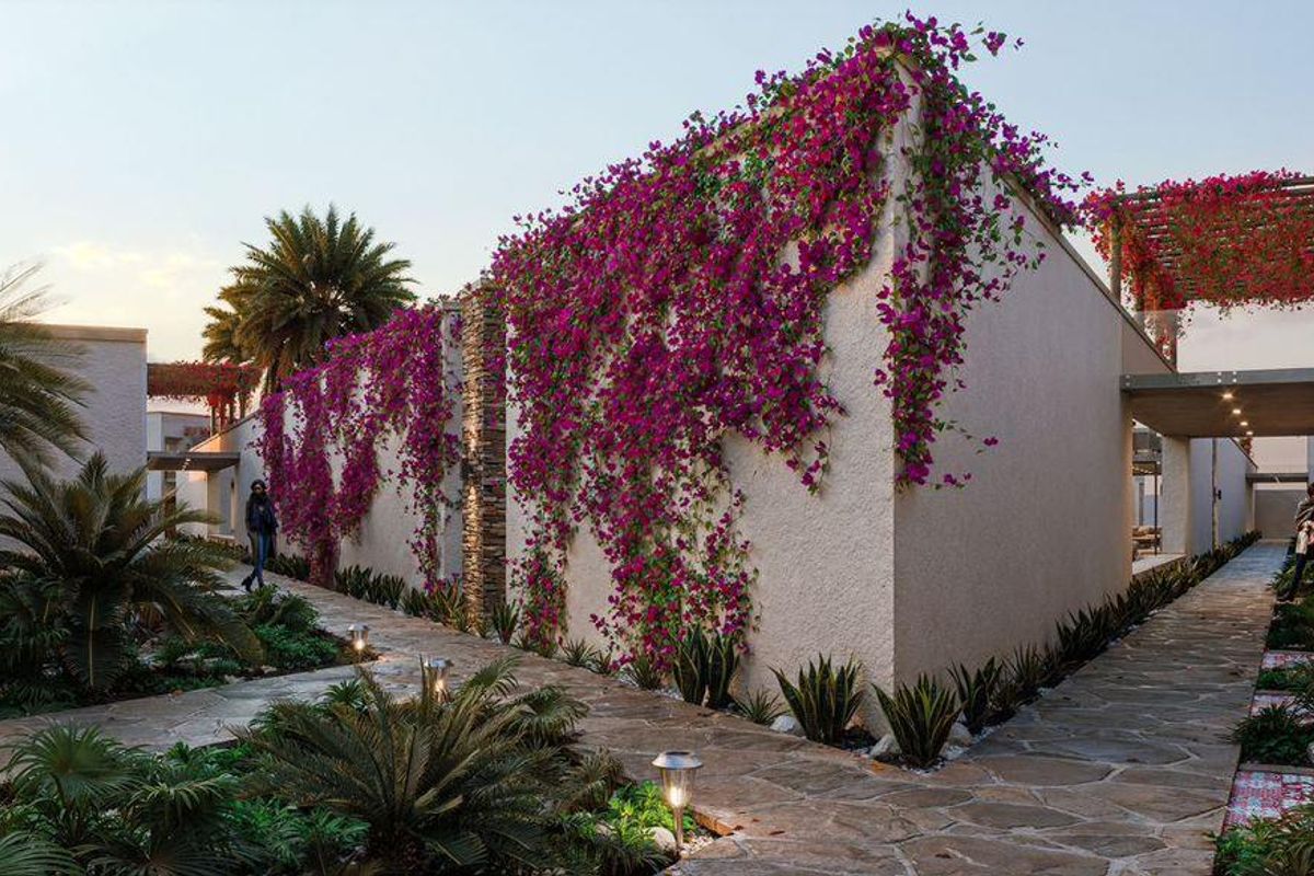 High-Yield Hospitality Investment – Kramersdorf, Swakopmund - Photo 3