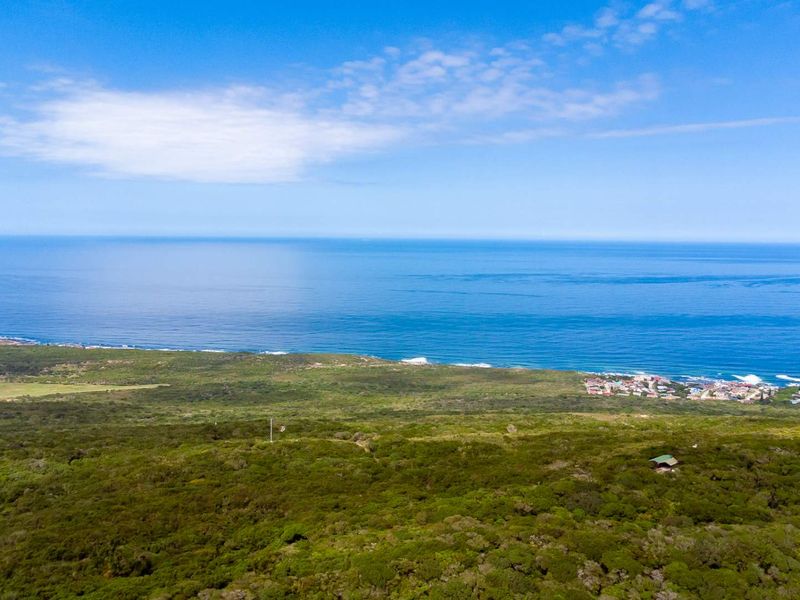 One of the Last Coastal Development Opportunities in Seaview | 25ha with Planning Work Already Done - Photo 5