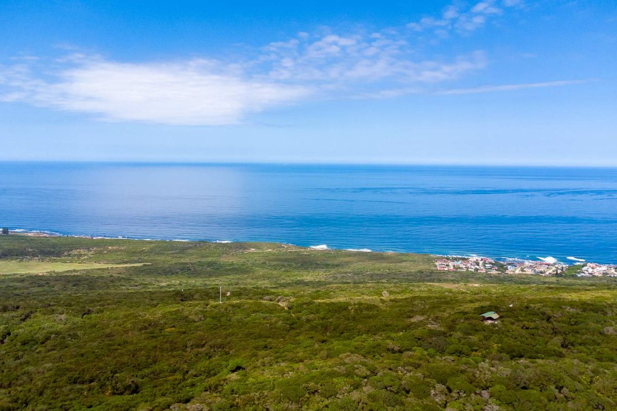 One of the Last Coastal Development Opportunities in Seaview | 25ha with Planning Work Already Done - Photo 5