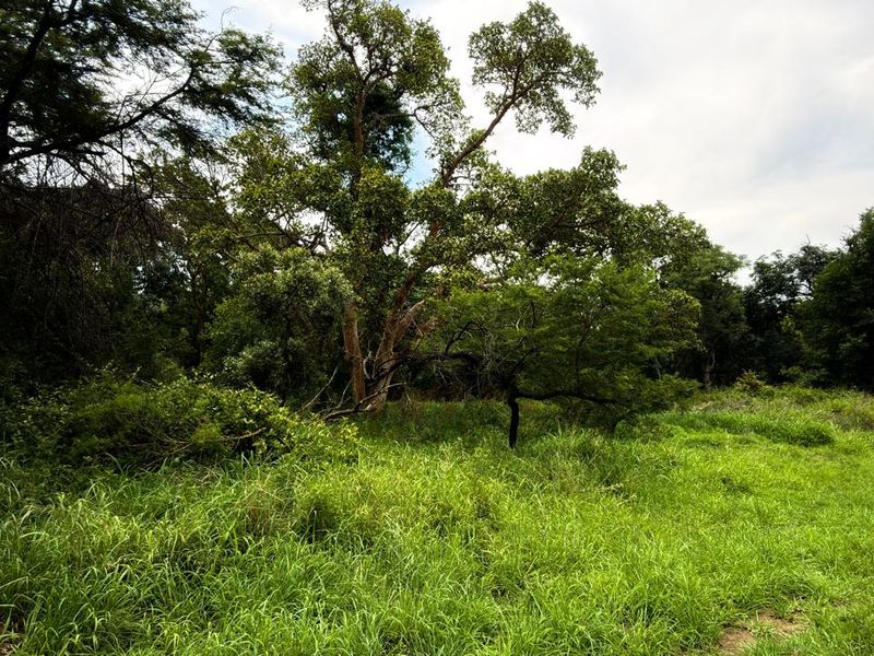 Kampersrus – Bedford Estate | Secluded Vacant Stand for sale with Mountain Views - Photo 10