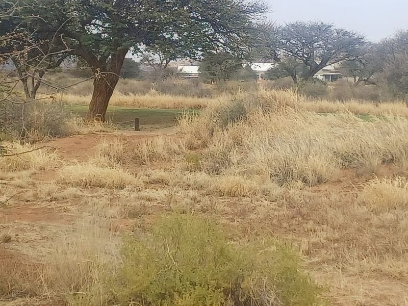 A scenic view of the natural landscape featuring mature trees and dry native vegetation, with distant structures visible in the background.