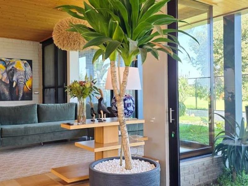 A bright, modern living area featuring timber ceilings, expansive floor-to-ceiling glass doors, and a painted brick feature wall with seamless indoor-outdoor flow.