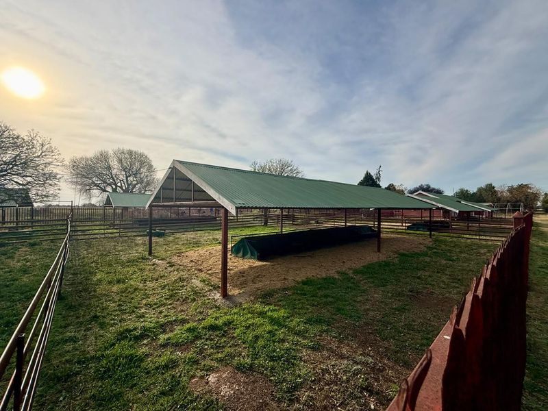 Outdoor livestock shelter featuring a corrugated metal roof, steel support structure, and integrated feeding troughs within a fenced paddock area.