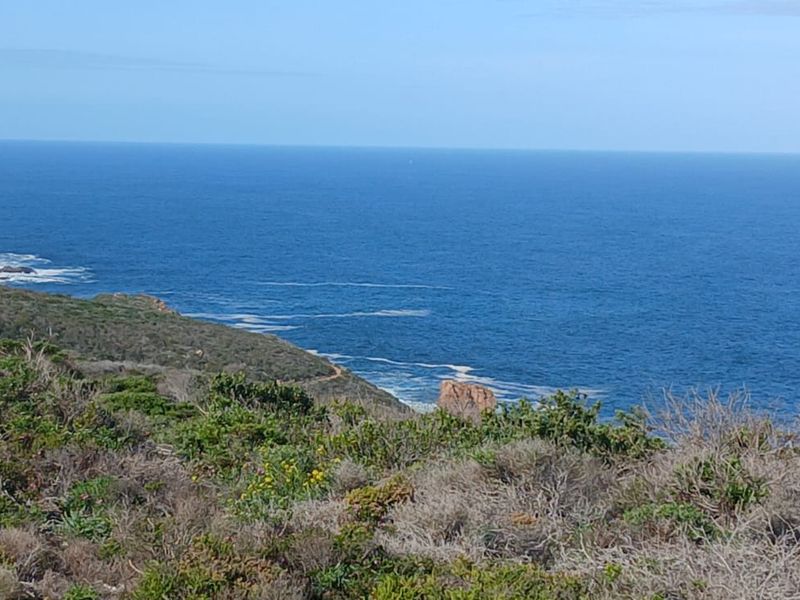 A scenic coastal view overlooking the ocean and natural landscape, showcasing the property's prime location and natural surroundings.