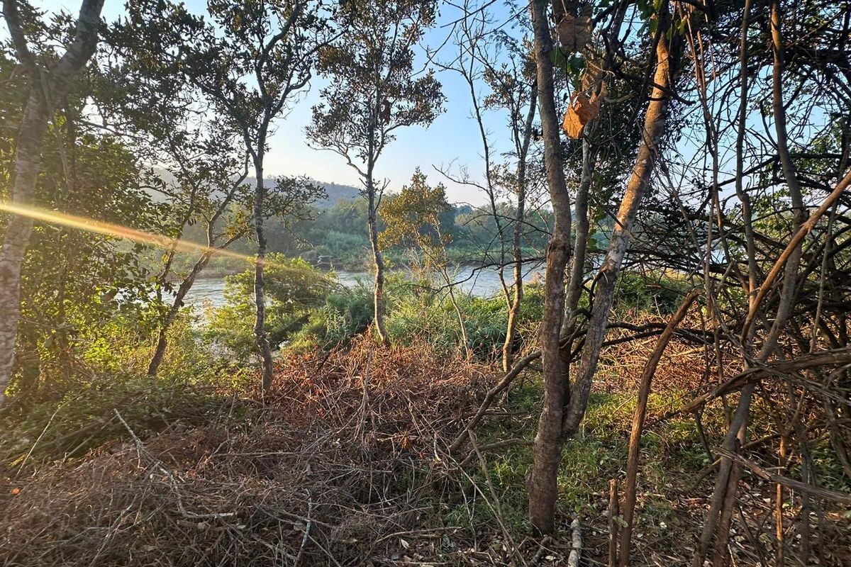 Prime Riverfront Stand - Photo 5