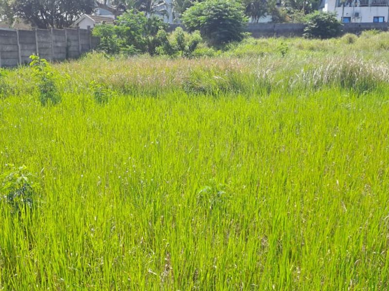 Vacant Residential Land – Birdswood, Richards Bay - Photo 6